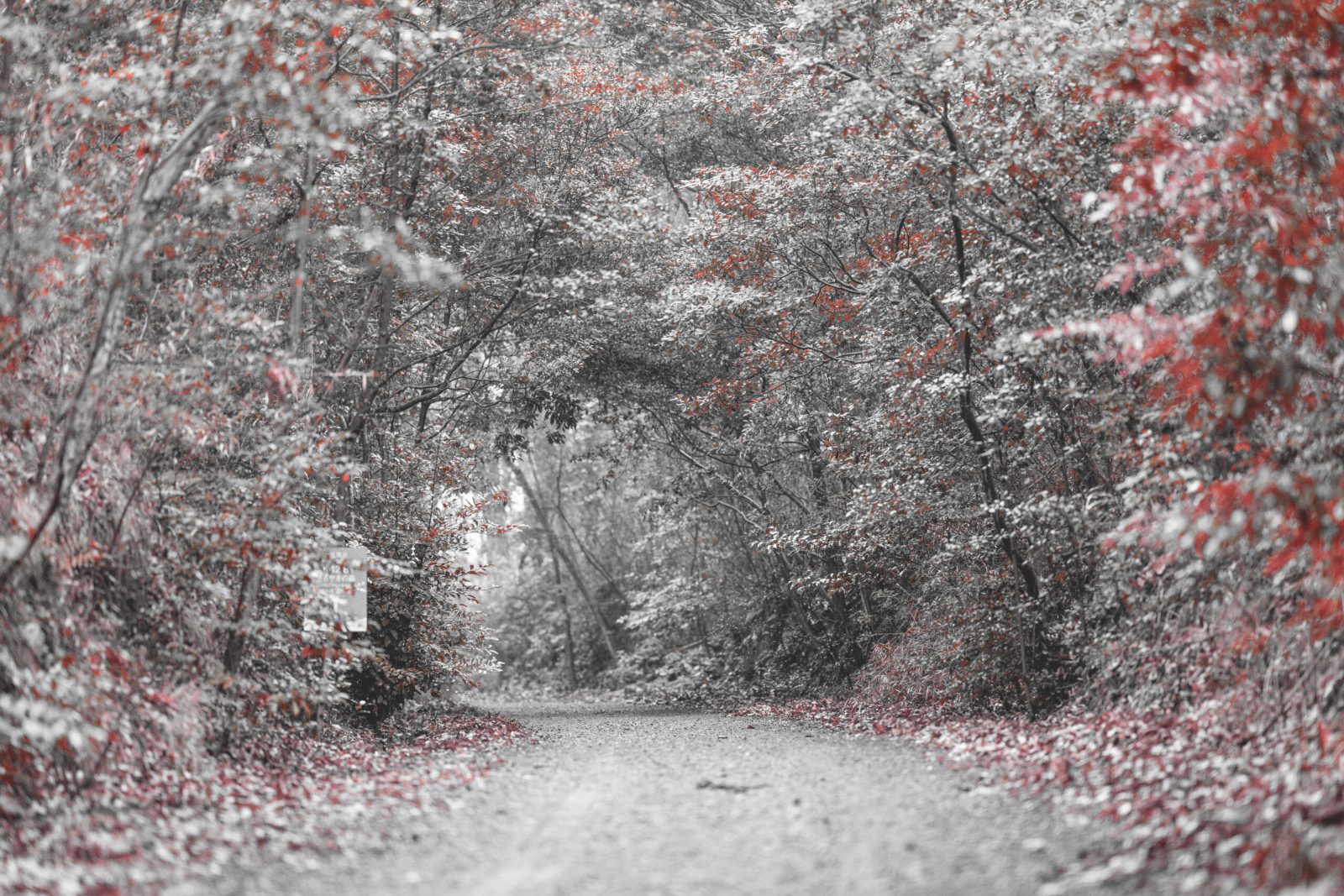 LIMINAL ENCOUNTERS