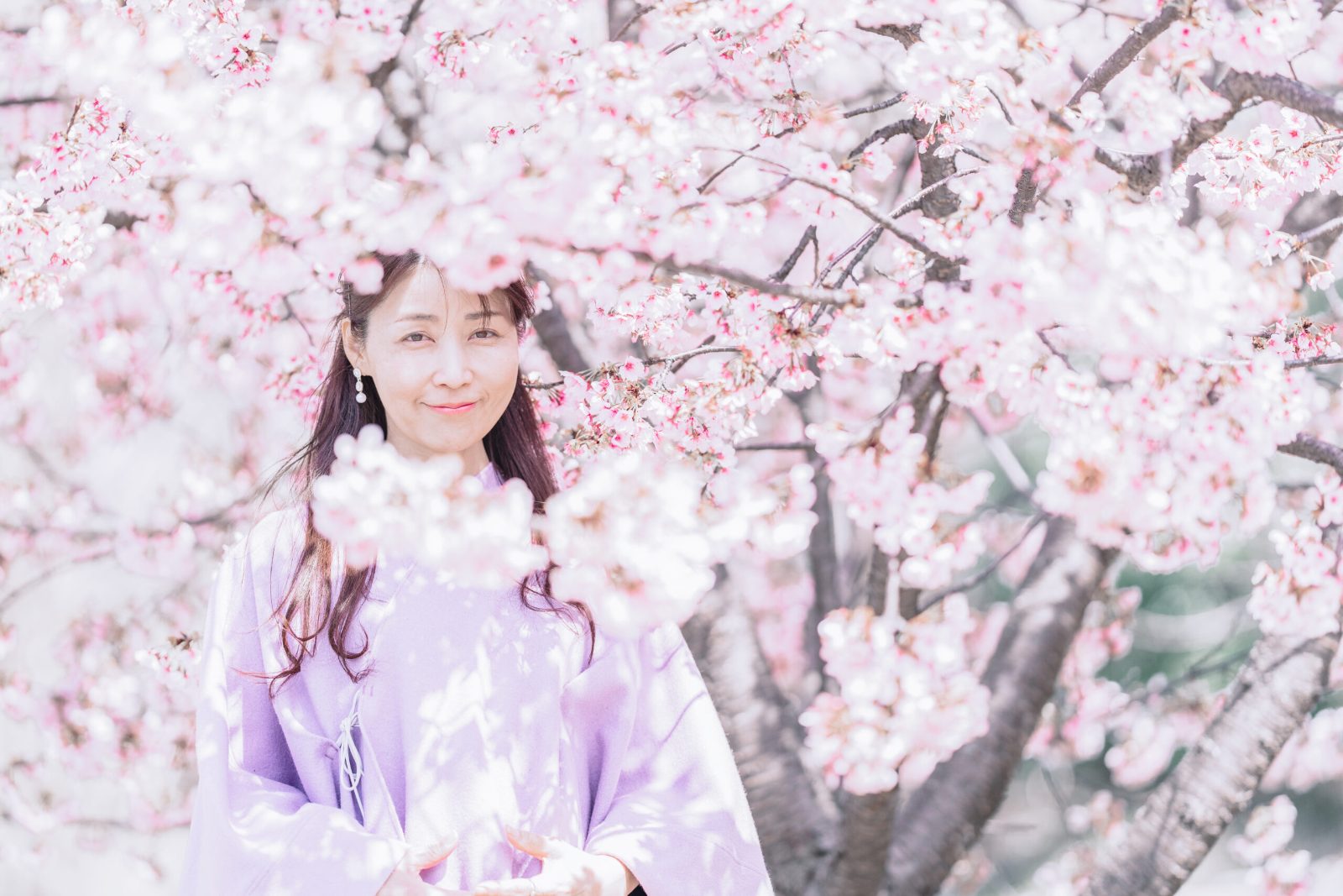 桜の中、薄紫の着物の女性 — PORTRAIT